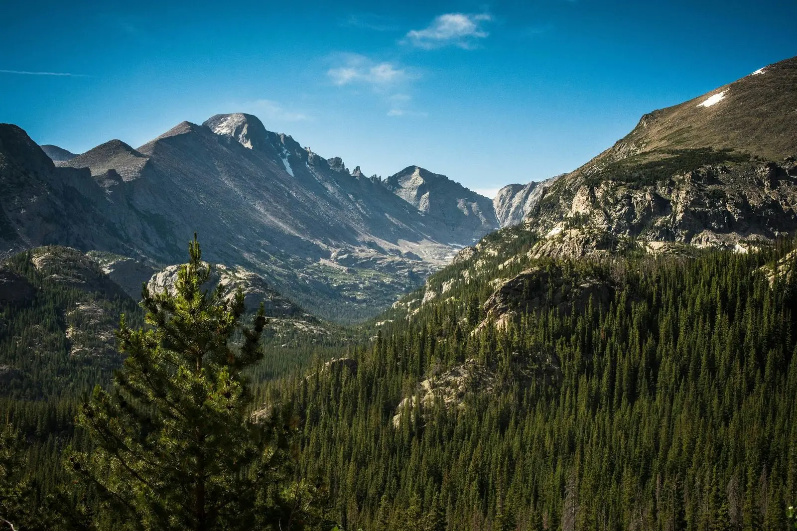 A sweeping mountain valley with pine forest and distant peaks